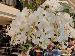-南堂馆·新川菜(天府三街店)