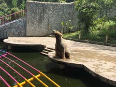 -贵州森林野生动物园