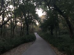 通往太平门的路-头陀岭景区