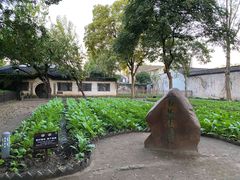 -绍兴鲁迅故里·沈园景区