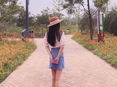 -东郊湿地公园