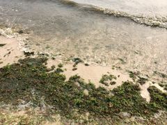 iphone_upload_pic-滴水丹屏