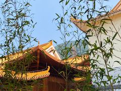 -深圳仙湖植物园