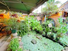 -园林美食城·本土农家菜(杨和镇店)