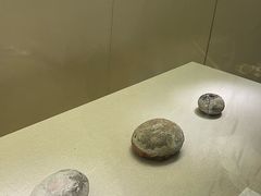 -衢州市博物馆