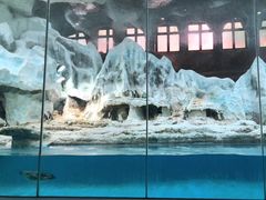 -帝企鹅自助餐厅•儿童岛•真企鹅(长隆企鹅酒店)