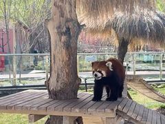 -水上乐园·欢乐世界