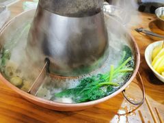 -东镇老火锅(长春路首店)