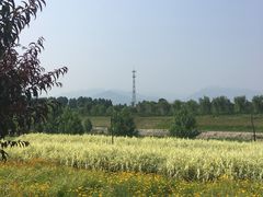 -洨河生态公园