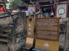 -丰都鬼城名山景区