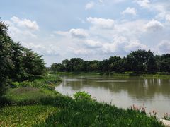 -海珠湖公园