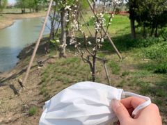 -嘉北郊野公园北游客中心-地上停车场