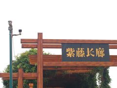 -荷花荡
