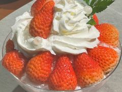 -花菇朵·云山雀 ll 野生菌锅·野果酸汤·精品滇菜(万柳店)