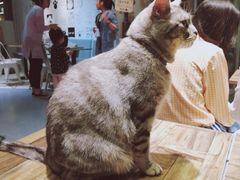 -小时光咖啡馆(开森度假森林店)