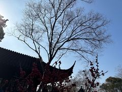-拙政园