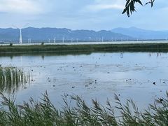 -野鸭湖国家湿地公园