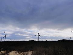 -长江澳风力发电景观区