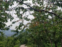 -萝卜寨羌文化生态旅游区