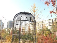 -莲花池公园