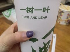 -一树一叶·福建茶档(石鼓路店)