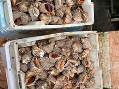 -芦潮港集贸市场