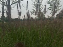 -汉长安城未央宫国家考古遗址公园