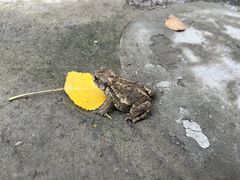 -灵溪风景区