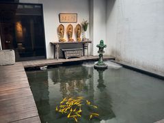 -觀芷隐轩