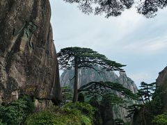 -黄山风景区