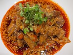 -院8里·少城记忆老川菜(宽窄巷子店)