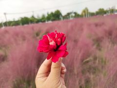 -尚贤河湿地