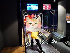 -运动派(北京店)