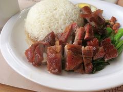 -初心烧鹅(粤华店)