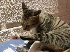 -逃脱反斗城沉浸剧情密室(北京路店)