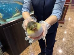-肆月河豚·淮扬菜·湘菜(华天店)