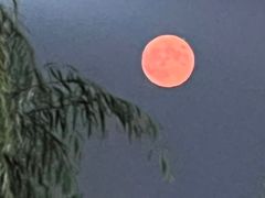 -万柳高尔夫俱乐部