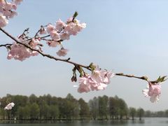 -上海辰山植物园