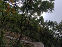 -圣莲山风景区