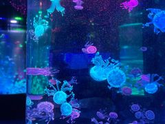 -南昌融创海世界