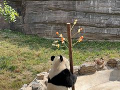 -石家庄市动物园