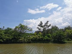 -大湾区中央湿地公园