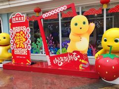 -海合安成都极地海洋公园