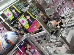 -秋叶原电器街