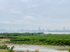 -福田红树林生态公园