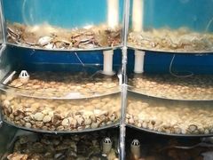 水产区-同道蒸汽海鲜烧烤自助(刘庄夜市店)