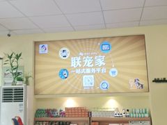 -派联宠物医院·24h·CT·异宠