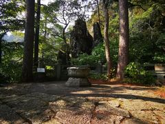-天目山大树王景区