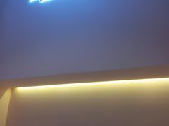 -狐狸和向日葵(北京路店)