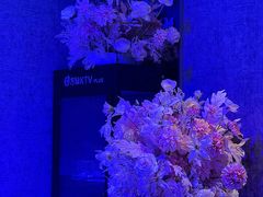 -方糖KTV-PLUS(世茂广场店)